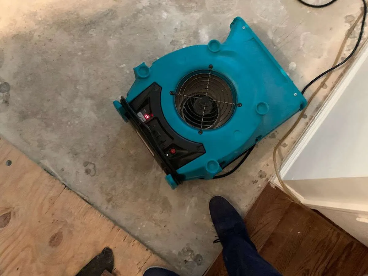Air mover drying subfloor during Commercial Water Damage Restoration in Gladstone